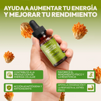 Extracto de Cordyceps Militaris - Fisiobiss