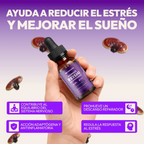 Extracto de Reishi – Fisiobiss