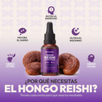 Extracto de Reishi – Fisiobiss