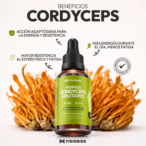 Extracto de Cordyceps Militaris - Fisiobiss
