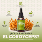Extracto de Cordyceps Militaris - Fisiobiss