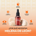 Extracto de Melena de León - Fisiobiss