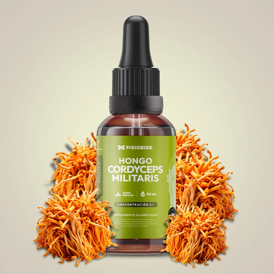 Extracto de Cordyceps Militaris - Fisiobiss